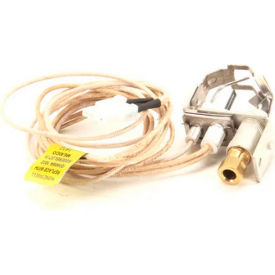 Pilot Ignitor Assembly, Nat For Woodstone Ovens