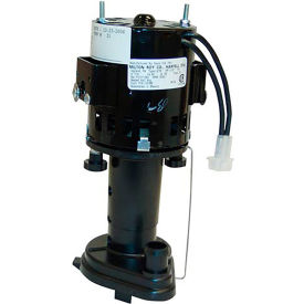 Allpoints Pump / Motor Assembly - 115V