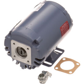 Motor, Pump (115V) For Ultrafryer