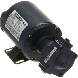 Allpoints 8Gpm Pump Assembly 1/3 HP 115/230 50/ Pmp