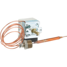 Allpoints 8011560 Thermostat For Legion Industries
