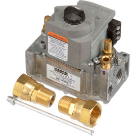Allpoints 541177 Gas Valve - Ce