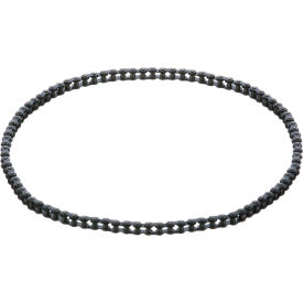 Drive Chain For Roundup Food Equipment
