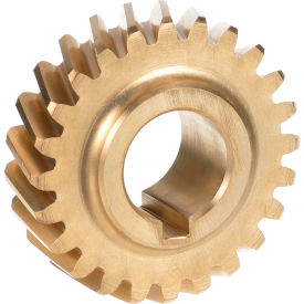 Worm Gear for Slicer Motor