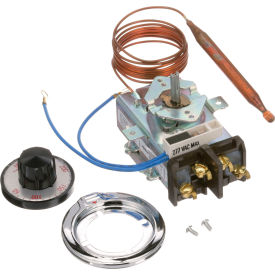 Allpoints Thermostat W/Diald1/D18, 3/8 X 4-1/2, 60