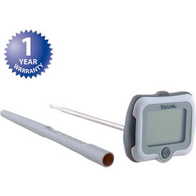 Thermometer, Digital, Adjustable Head