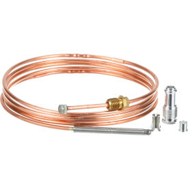 Thermocouple for Johnson Controls