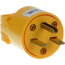 Allpoints Plug; NEMA 6-15P