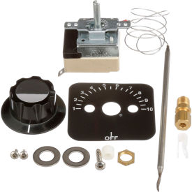 461143 Thermostat Kit