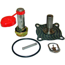 Allpoints 3/4" Asco Solenoid Valve Repair Kit