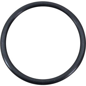 Allpoints 8012206 Oring For Cleveland Range
