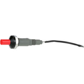 Ignitor For Dynamic Cooking Systems