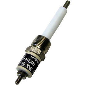 Water Level Probe.