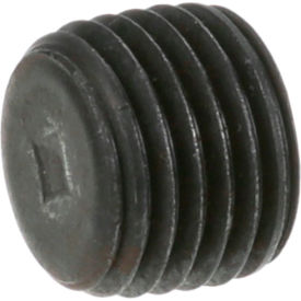 Allpoints 266135 Pipe Plug