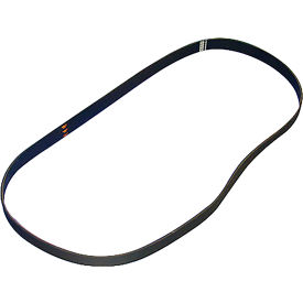 Allpoints Saniserve Serpentinebelt