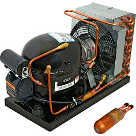 Condensing Unit 404A(Frydump)