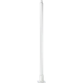 Leg 36"H, Stainless Steel, 3.5" Plt