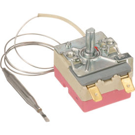 Allpoints Thermostat; Type 55