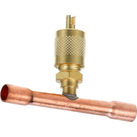 Allpoints 561582 Access Valve