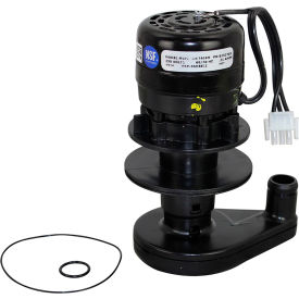 Allpoints Water Pump - 230V-50/60Hz For Manitowoc Machines