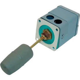 42-1001 Low Water Cut-Off Float Assembly