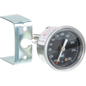 Allpoints Thermometer For Groen