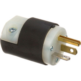 Allpoints Plug; NEMA 5-20P