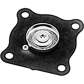 Allpoints 511433 Diaphragm