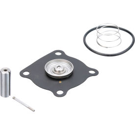 Allpoints Repair Kit