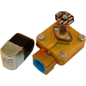 Steam Solenoid Valve; 1" FPT; 120/240V