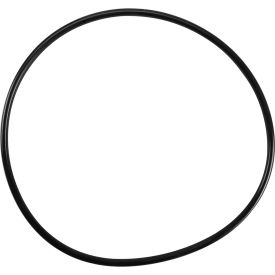 1171350 O-Ring, Housing For Everpure Filter