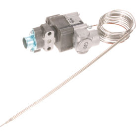 Allpoints 8010509 Thermostat - Bj