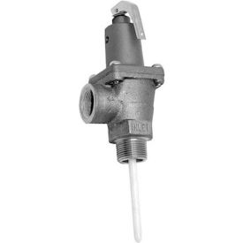 561030 P-T Relief Valve3/4"