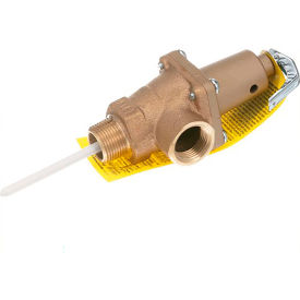 Water Temperature and Pressure Relief Valve - 150 PSI, 210 °F