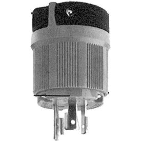 Locking Plug; NEMA L5-20P
