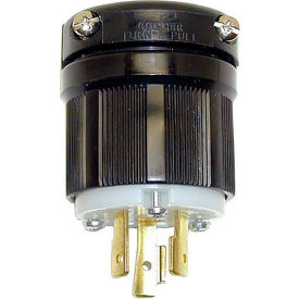 Locking Plug
