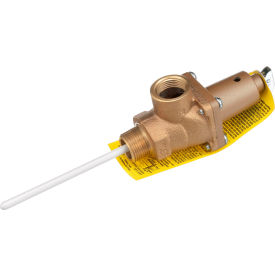 Cast Iron 3/4" NPT Pressure and Temperature Relief Valve - 150 PSI