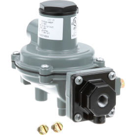 Gas Regulator