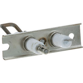 Electrode Assembly For Accu-Temp