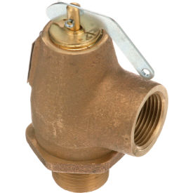 50 PSI Brass Steam Safety Relief Valve - 3/4" NPT, 805 lb./Hour
