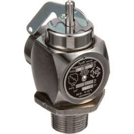 Valve, Safety Relief, 3/4", 35Psi
