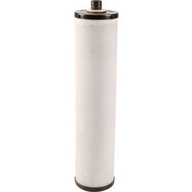 Allpoints Cartridge, Polycarbon, 20" For Selecto Scientific Filters
