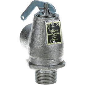 Valve, Steam Safety -3/4" For Legion Industries