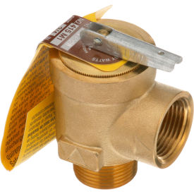 15 PSI Bronze Steam Safety Relief Valve - 3/4" NPT, 450 lb./Hour