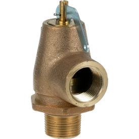 "Allpoints Valve, Steam Safety -3/4"