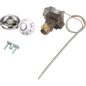 Thermostat; Type: BJWA; Temperature 200 - 400 degrees F; 36" Capillary