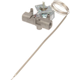 Allpoints 8009336 Thermostat