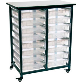 Mobile Bin Storage Unit, Double Row with 16 Small Clear Bins, Plastic, 20 Lbs Bin Capacity