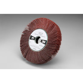 Flap Wheel 6" x 1" x 1" 60 Grit Ceramic