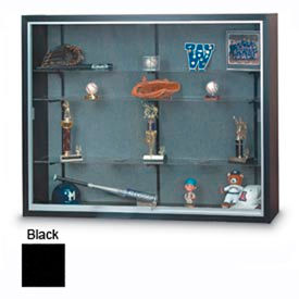 48" x 36" x 12" Display Case w/Two Shelves and Black Interior